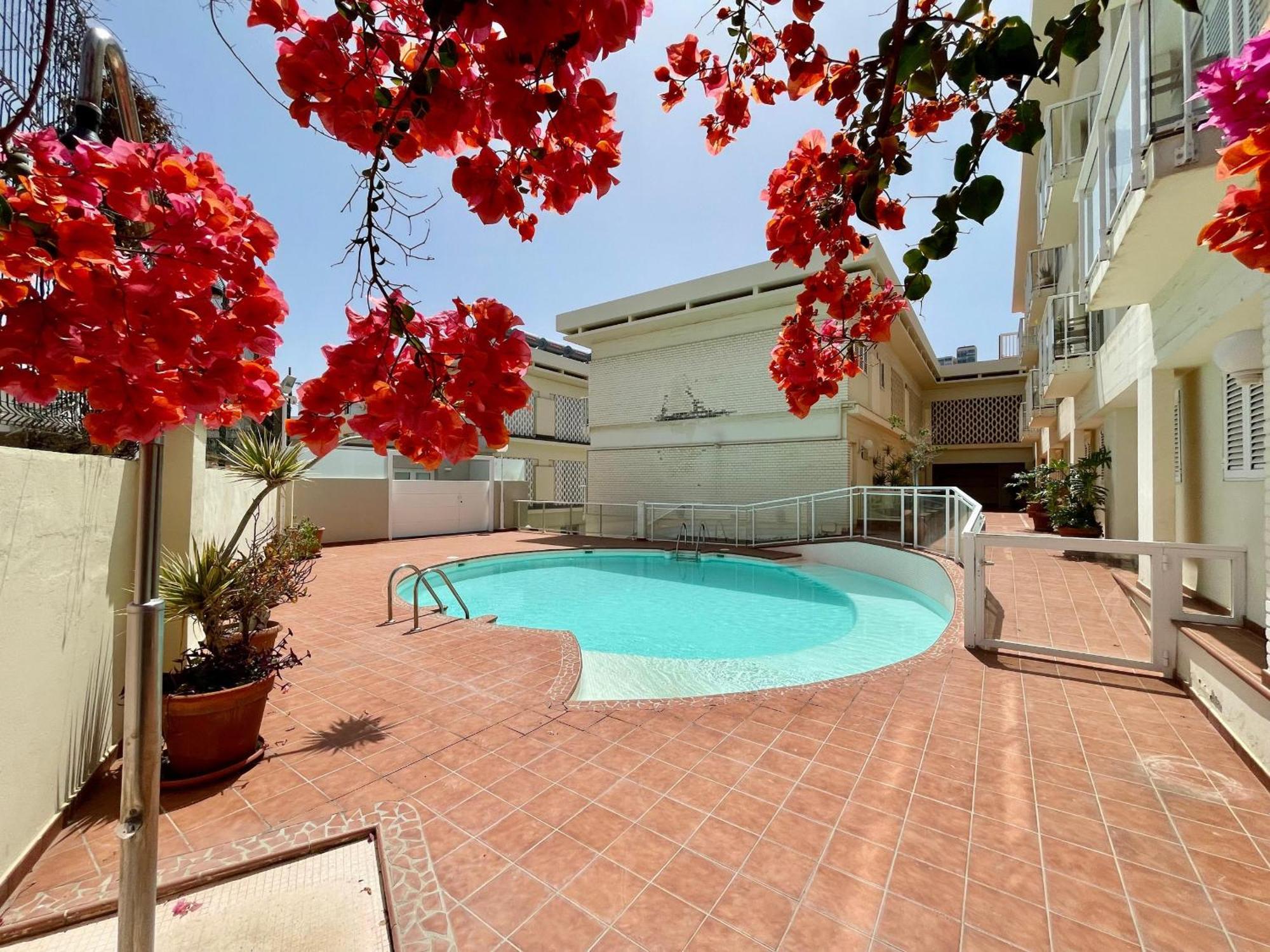 Deluxe Ciudad Jardin - By Gestion Vacacional Canarias Las Palmas de Gran Canaria Eksteriør billede